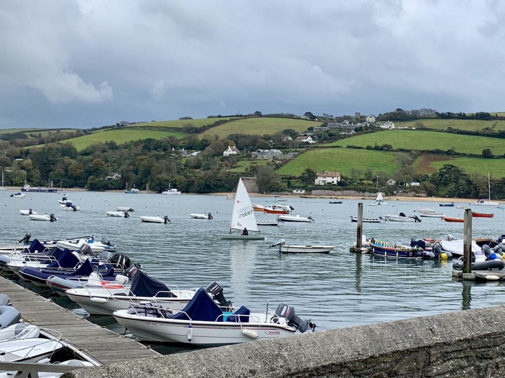 Dritwood Holiday Lodge Salcombe